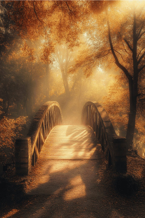 bridge in the morning