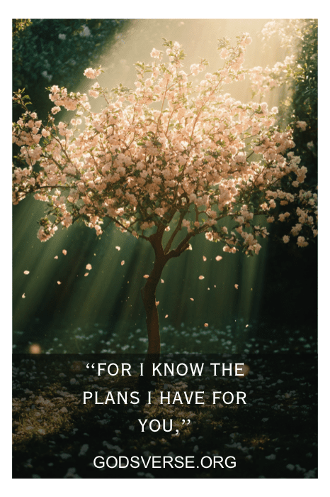 Uma árvore em flor se aquece à luz do sol, adornada com as palavras: "Porque eu conheço os planos que tenho para você", GODSVERSE.ORG. Esse versículo bíblico reconfortante oferece consolo e força para aqueles que estão passando por momentos desafiadores.