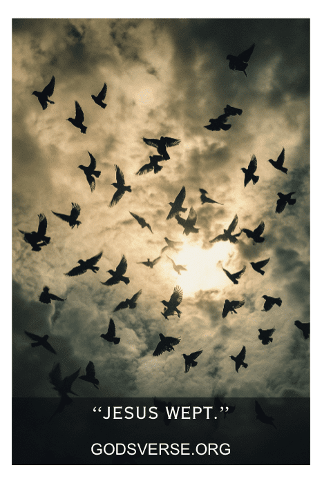 Siluetas de pájaros se elevan sobre un cielo nublado en el que se filtra la luz del sol. El texto dice "Jesús lloró", uno de los versículos bíblicos muy cortos, y "GODSVERSE.ORG".