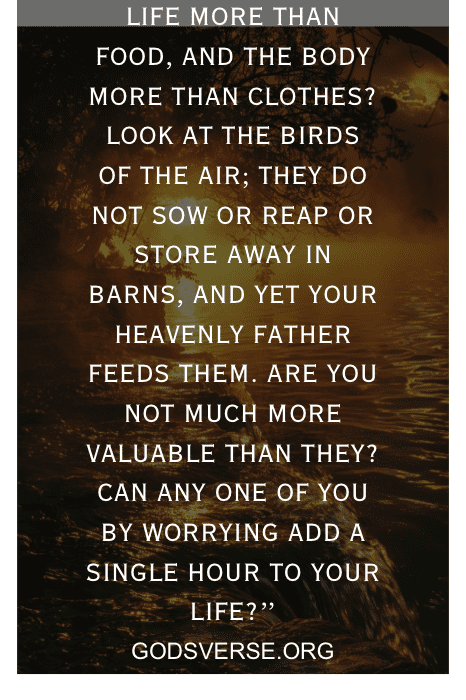 Texto sobre a imagem do pôr do sol: "A VIDA É MAIS DO QUE COMIDA, E O CORPO MAIS DO QUE ROUPAS? OLHE PARA AS AVES DO CÉU;... GODSVERSE.ORG.