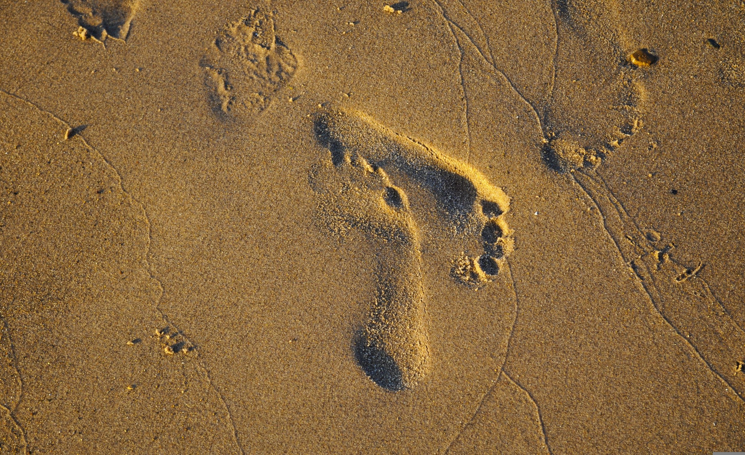 Marcas de pés na areia
