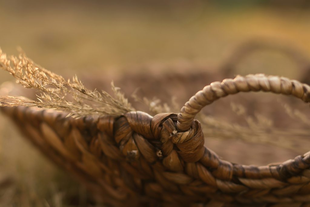 Close-up de uma alça de cesta trançada, que lembra o vaso feito pela Mãe de Moisés na Bíblia, com hastes de grama seca contra um fundo natural desfocado.