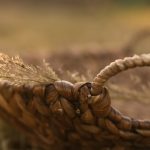 Meet Jochebed, the Mother of Moses in the Bible Close-up of a woven basket handle, reminiscent of the vessel made by the Mother of Moses in the Bible, with dried grass stems against a blurred natural background.