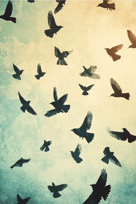 Siluetas de pájaros volando contra un cielo texturizado con tonos azules y amarillos, reflejo de la serenidad de las oraciones por la ansiedad.