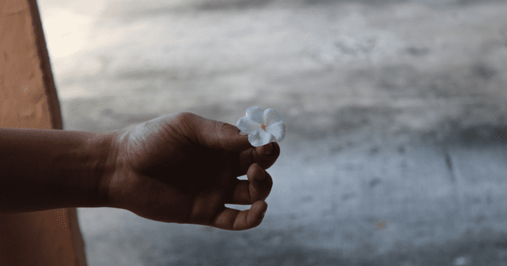gentleness in the bible