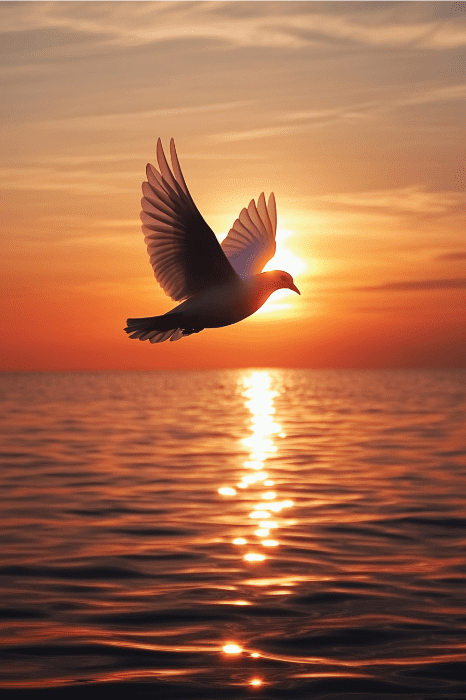 Una gaviota planea sobre el océano, con sus alas captando los matices de una puesta de sol de un naranja vibrante, como una bendición para la iglesia que atrapa los corazones con su gracia serena.
