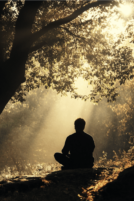 Silueta de una persona meditando bajo un árbol con la luz del sol filtrándose entre las ramas, encontrando la paz de la misma manera que la oración de AA para la ansiedad ofrece consuelo y calma.
