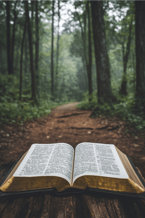 Um livro aberto repousa em um toco de árvore na floresta, com suas páginas capturando o espírito de reflexão como jogos de Ação de Graças para reuniões da igreja, enquanto um caminho serpenteia pela vegetação distante.