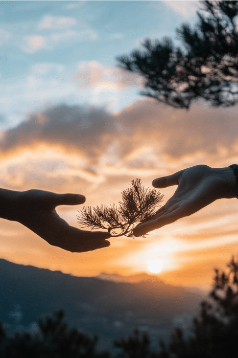 Duas mãos se estendem com um pequeno galho de árvore contra um céu ao pôr do sol, lembrando a fé serena de Elizabeth na Bíblia, com montanhas em silhueta ao fundo.