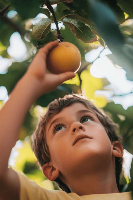 Entre las hojas de un verde vibrante y la luz del sol que se filtra, un niño levanta la mano para coger una manzana de un árbol, como en una deliciosa yincana eclesiástica.