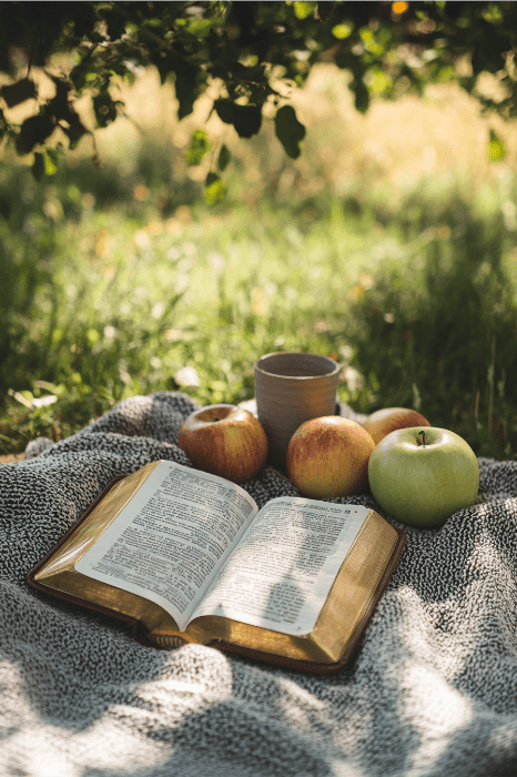 Un libro abierto, manzanas y una taza descansan sobre una manta gris en el soleado jardín, despertando ideas creativas en los jóvenes que se reúnen para un inspirador proyecto de servicio.