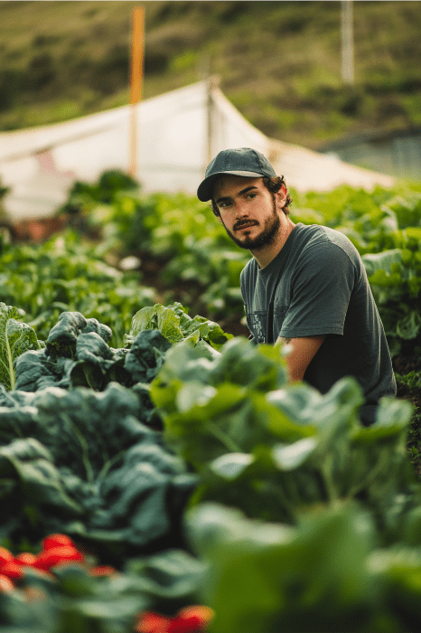 Un hombre con gorra, agazapado en un frondoso campo de verduras, recoge creativamente ideas de unos vibrantes pimientos en primer plano para una innovadora iniciativa de servicio a los jóvenes.