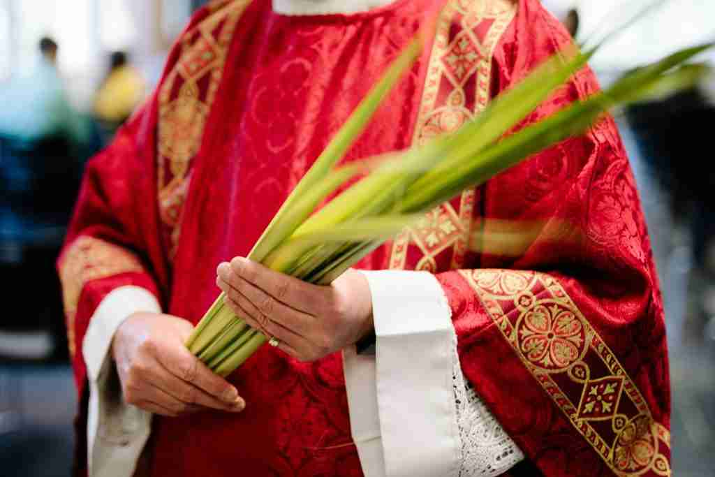 Persona vestida con una túnica roja que sostiene hojas de palma verdes, símbolo del color de la Iglesia para el Domingo de Ramos.