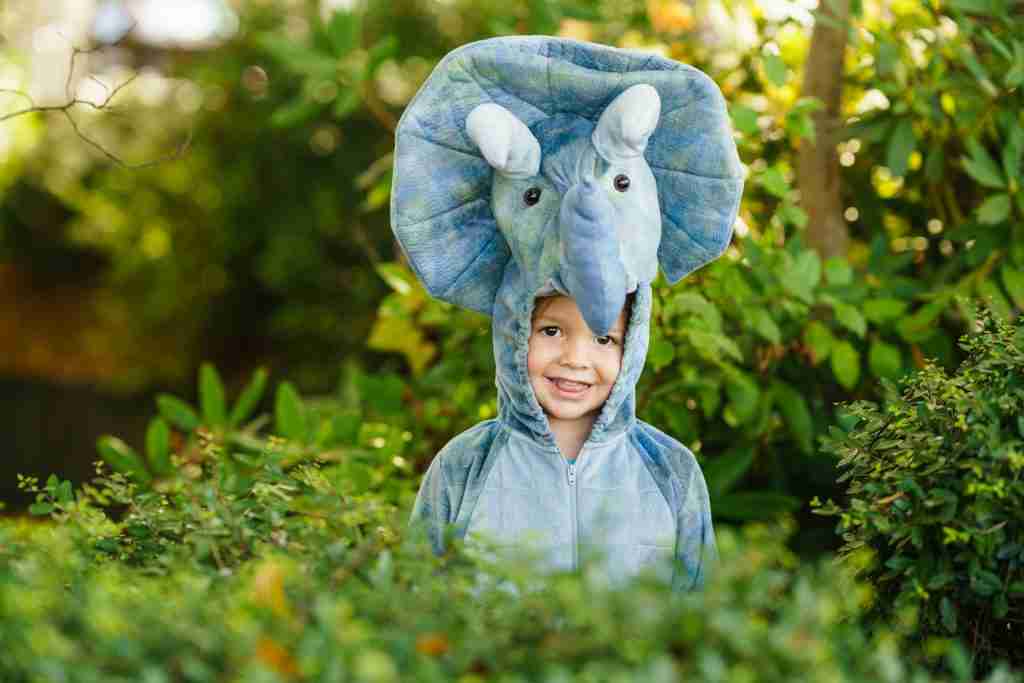 Vestido con un adorable disfraz de elefante, el niño sonríe ampliamente, mezclándose con la exuberante vegetación. Esta conmovedora escena recuerda a las divertidas representaciones de la Iglesia de los Niños, donde la creatividad y la imaginación se desbordan.