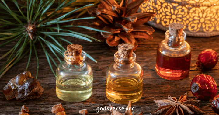 Três pequenos frascos arrolhados de óleos perfumados repousam em uma superfície de madeira, cercados por agulhas de pinheiro e especiarias - ecoando as antigas tradições aromáticas das plantas da Bíblia.