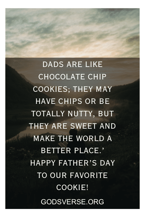 Texto em um fundo cênico: "Os pais são como biscoitos de chocolate, doces e reconfortantes, assim como o cunhado que sempre protege você..." Mensagem de Feliz Dia dos Pais do site godsverse.org.