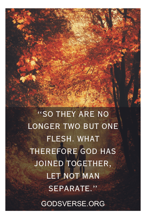 One flesh marriage unity between husband and wife