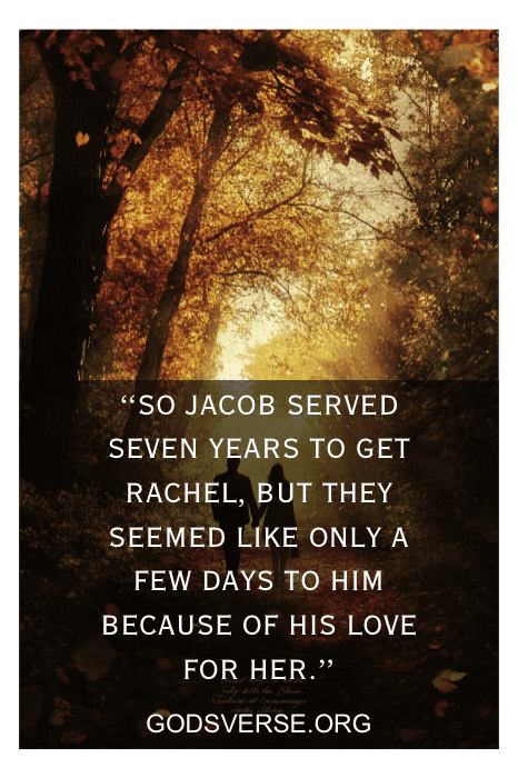 Honor your wife bible verse image — newlyweds celebrating their marriage