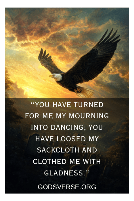 American bald eagle soaring — symbol of freedom and courage in service