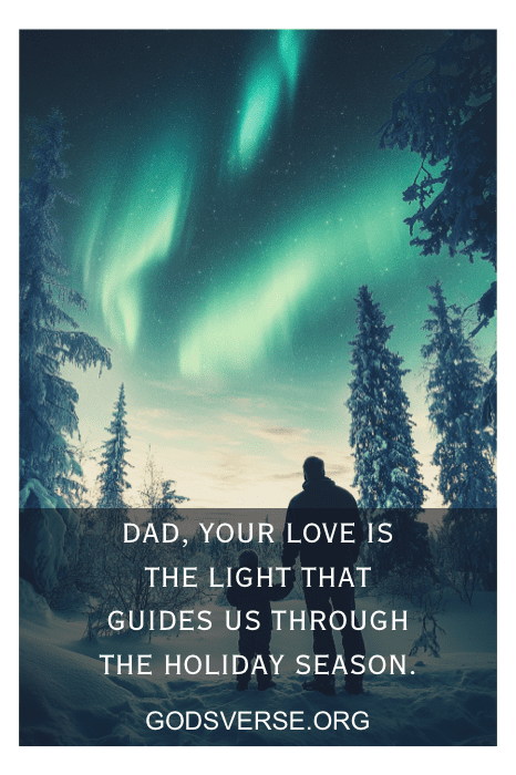 La silueta de una persona bajo una vibrante aurora capta la esencia del amor y la orientación durante las fiestas navideñas. Celébralo con sentidas frases navideñas para los papás, iluminando su firme presencia como la aurora boreal en nuestros cielos invernales.