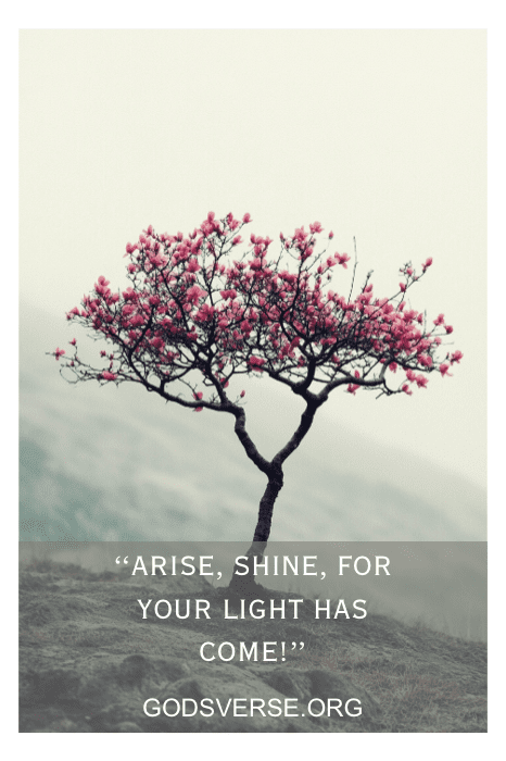Uma árvore florescendo com flores rosa em uma colina, sobreposição de texto: "Levante-se, brilhe, pois sua luz chegou!" - Godsverse.org. Inspiração perfeita para os dizeres de placas de igreja para janeiro.