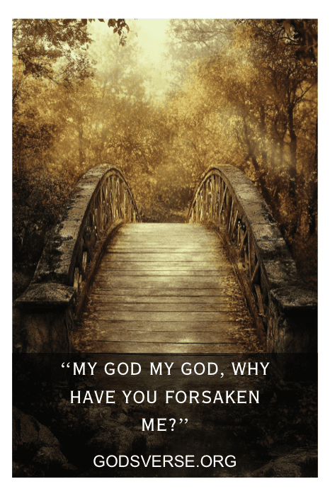 Uma ponte desgastada pelo tempo em uma floresta traz o texto "Meu Deus, meu Deus, por que me abandonaste?", ecoando os Salmos e capturando uma reflexão pungente de Jesus. Perto dali, a misteriosa inscrição "GODSVERSE.ORG" convida a uma maior contemplação.