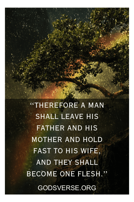 Genesis 2:24 - Bible verse about marriage becoming one flesh