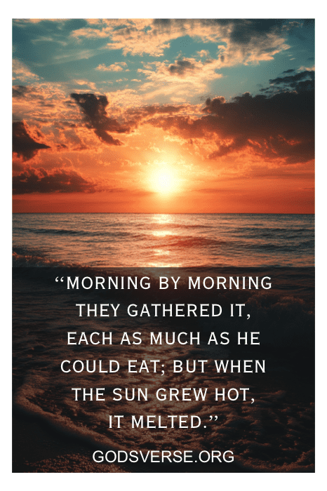 Contempla una impresionante puesta de sol sobre el océano, bellamente complementada por un versículo bíblico sobre reunirse y fundirse. Al final del día, encuentra consuelo en la promesa de Dios de que la alegría llega por la mañana, un inspirador recordatorio de Godsverse.org.