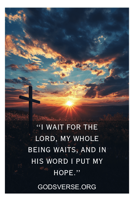 Uma cruz em um campo ao pôr do sol emite um brilho sereno, com um versículo da Bíblia oferecendo esperança em tempos de desespero e "godsverse.org" escrito abaixo.