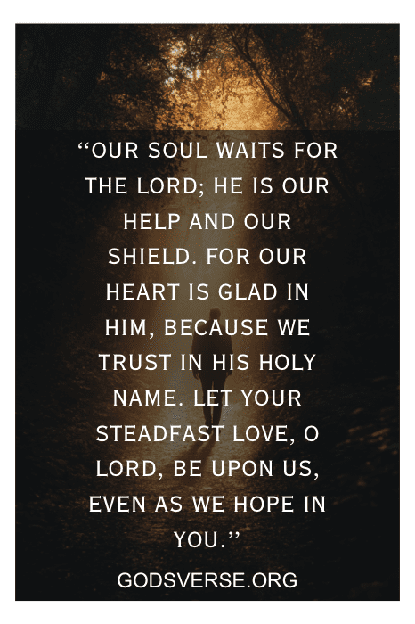 Texto sobre fundo de natureza escura: "Our soul waits for the Lord... trusting God in difficult times."-godsverse.org.