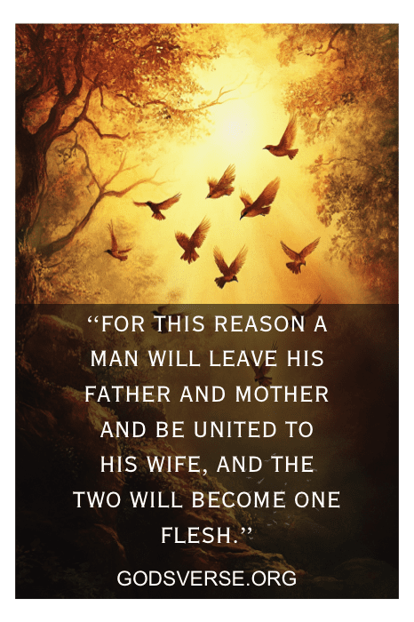Bible verse on leaving family after marriage — birds in flight