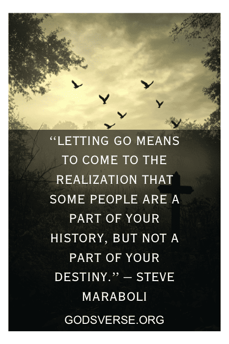 birds taking flight from a tree representing freedom from an abusive relationship and new beginnings