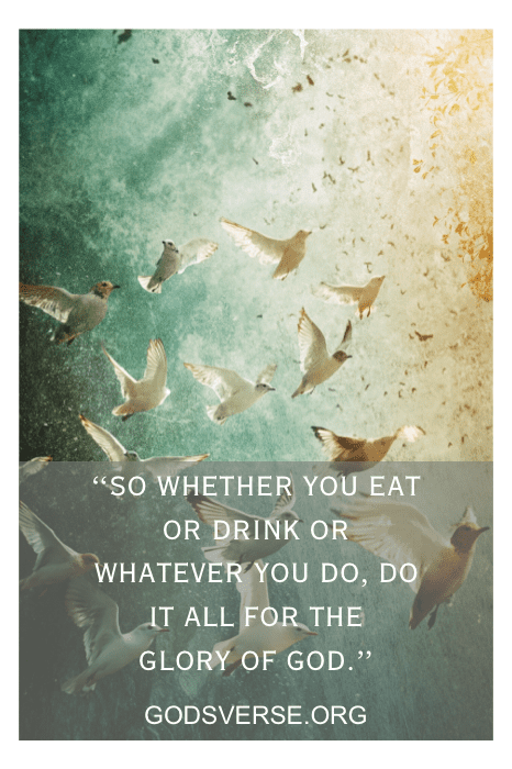 A flock of birds gracefully soars over the land, embodying an inspirational quote about glorifying God from G0DSVERSE.ORG, reminding us that through our actions and service, we honor the divine.