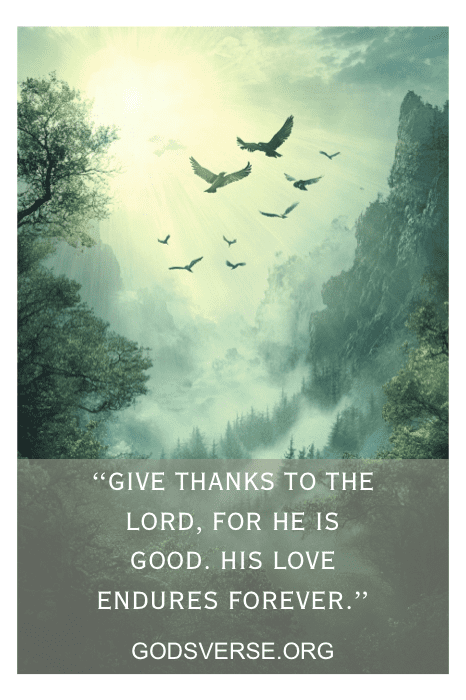 Os pássaros voam sobre uma floresta enevoada com uma citação do Salmo sobre gratidão e o amor de Deus.