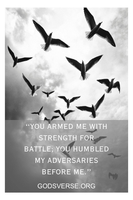 birds taking flight representing freedom and courage from God's strength