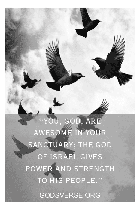 birds in flight over a horizon representing the renewal of strength in God