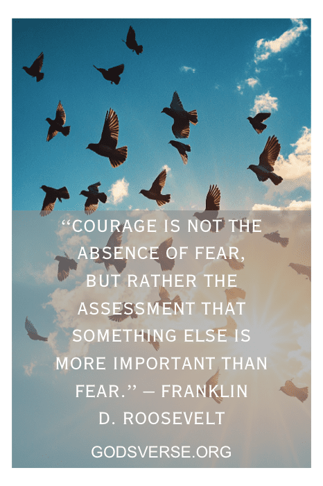 Um bando de pássaros voa majestosamente, com uma citação de Franklin D. Roosevelt sobre coragem sobreposta à imagem, servindo como incentivo perfeito para um namorado ou qualquer homem que esteja buscando força e inspiração.