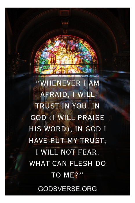 Psalms 56:3-4