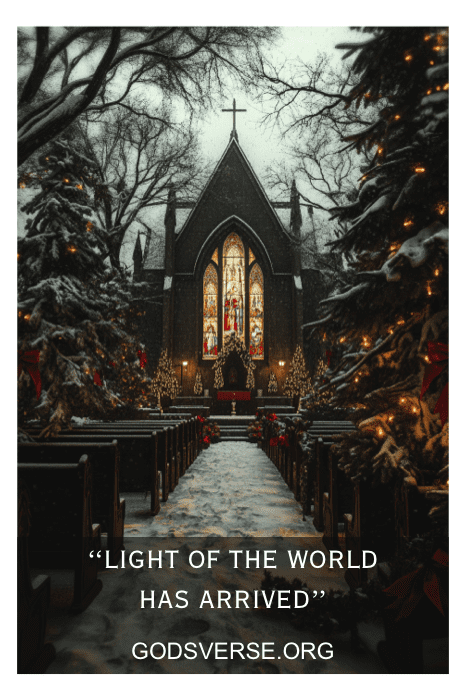 Cena de igreja coberta de neve com árvores de Natal iluminadas alinhadas em um caminho até a entrada. O texto diz: "A luz do mundo chegou". Descubra mais dizeres inspiradores para placas de igreja no Natal.