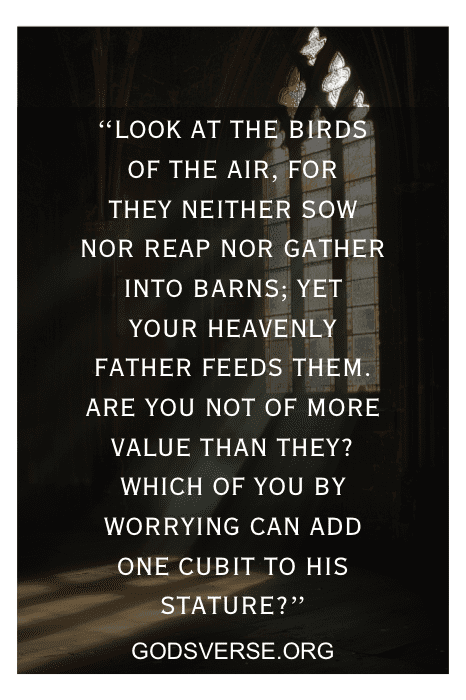 Matthew 6:26-27