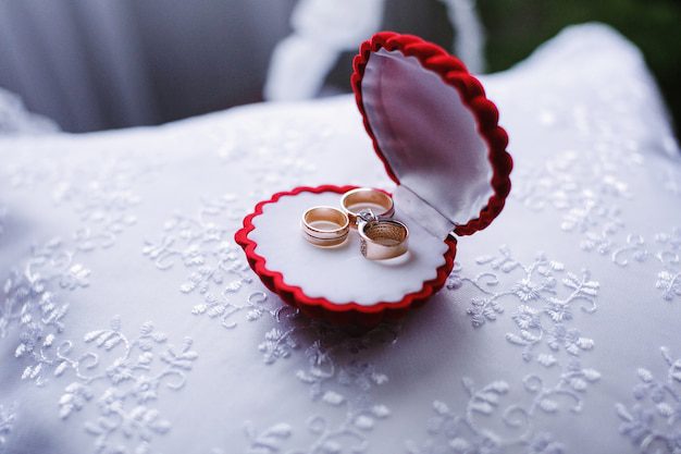 Wedding rings against a white background to highlight the purity requirement of a Biblical marriage