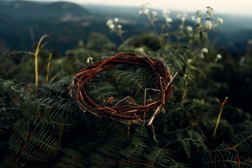 A crown laying on foilage showing why Jesus had to come to earth
