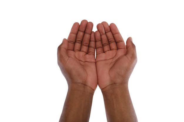Em um fundo branco liso, duas mãos em forma de concha são mantidas juntas, com as palmas voltadas para cima, lembrando a Tabita da Bíblia, que era conhecida por sua generosidade e natureza de coração aberto.