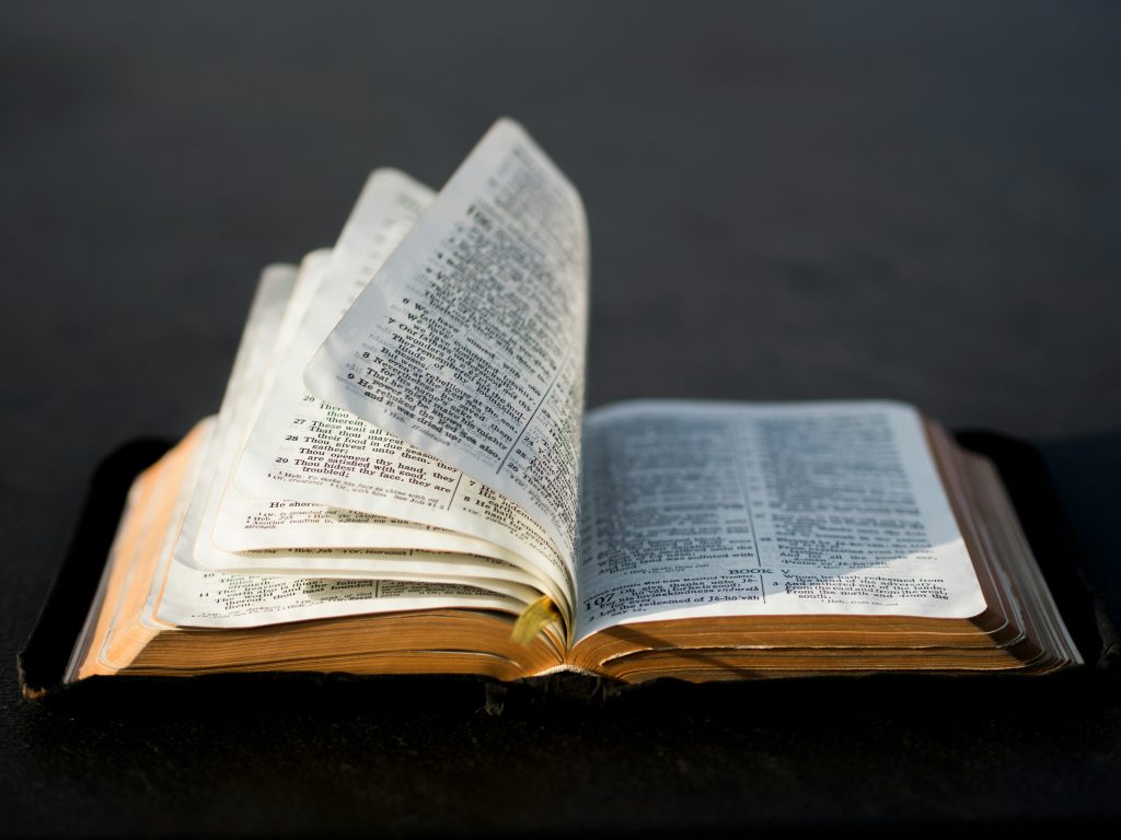 Un libro abierto con páginas que pasan, sobre un fondo oscuro, evoca los profundos misterios que encierra e invita a reflexionar sobre temas como cuántas veces aparece "No temas" en la Biblia.