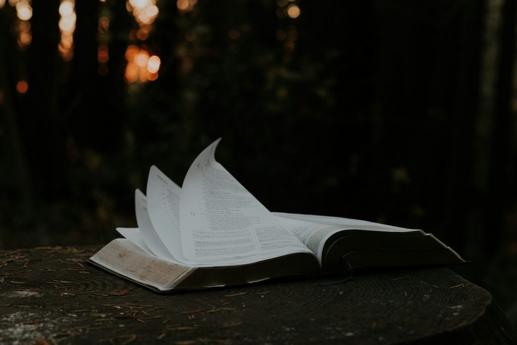 Um livro aberto repousa em um toco de árvore, com suas páginas tremulando como se estivessem sussurrando segredos contra o pano de fundo da floresta mal iluminada - uma cena que lembra a pergunta "Estou na Bíblia quantas vezes?", entrelaçada com o mistério silencioso da natureza.