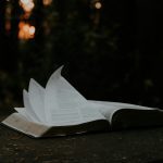 An open book rests on a tree stump, its pages fluttering as if whispering secrets against the dimly lit forest backdrop—a scene resembling the question, "I Am in the Bible How Many Times?" intertwined with nature's quiet mystery.