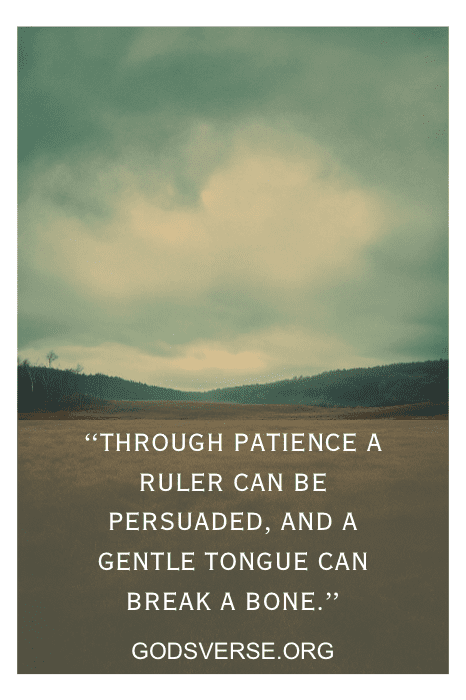 Cloudy green sky over an open field with text: "Through patience a ruler can be persuaded, and a gentle tongue can break a bone." Find comfort in Bible verses for tough times in a relationship.