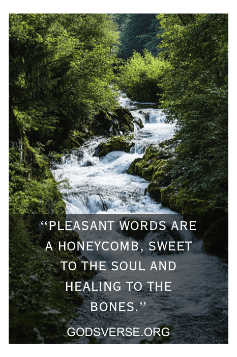 Forest stream with quote: "Pleasant words are a honeycomb, sweet to the soul and healing to the bones." - Bible Verses for Tough Times in a Relationship.