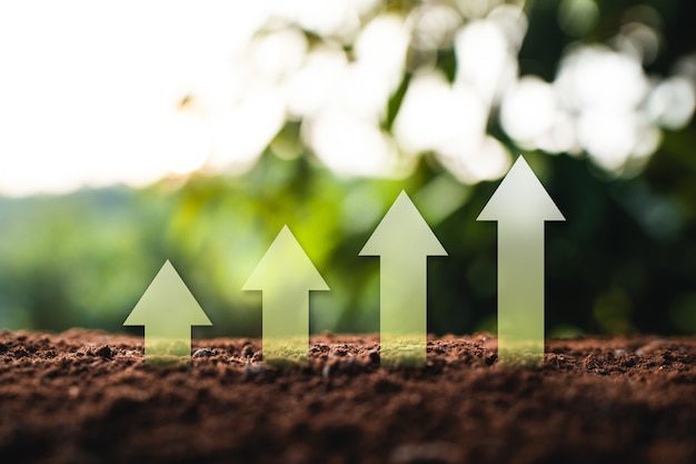 Quatro setas apontando para cima no solo com um fundo de folhagem verde borrada simbolizam o crescimento e o progresso, assim como a lição transformadora da Parábola da Semente de Mostarda.
