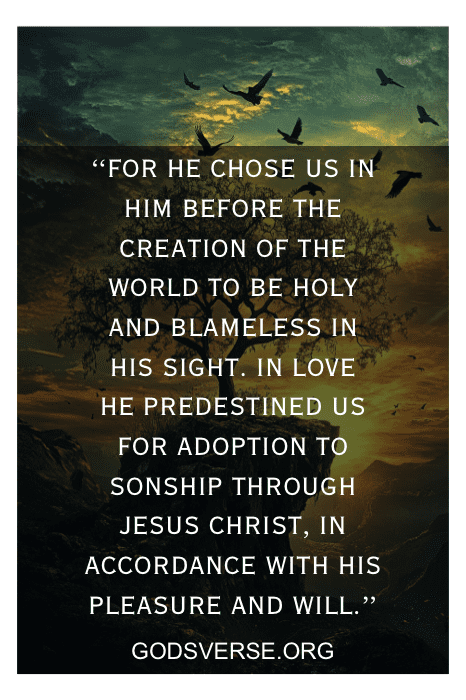 birds in flight — God's calling and predestination in Scripture